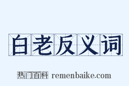 白老反义词是什么意思的图片